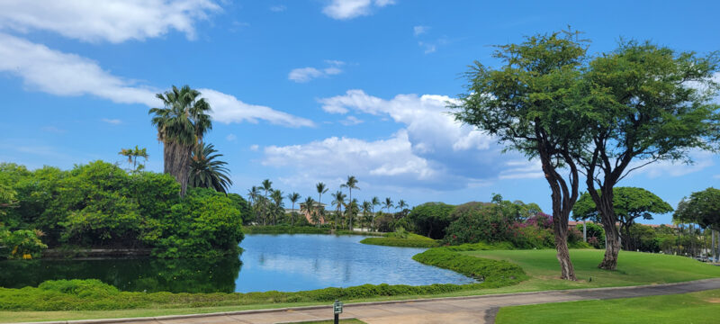 Photo of the Day: Wailea Scapes